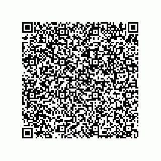 vCard 79053300310