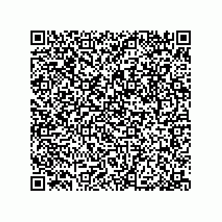 vCard 79053300311