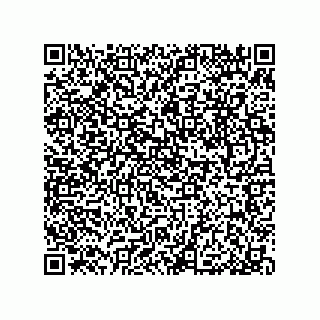 vCard 79053300312