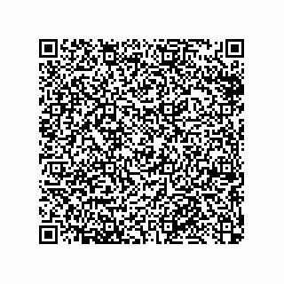 vCard 79053300313