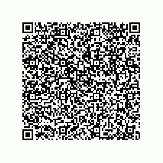 vCard 79053300314