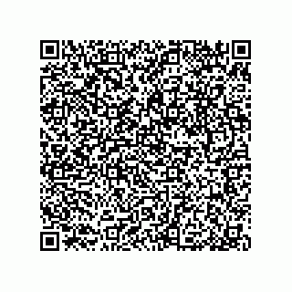vCard 79053300317