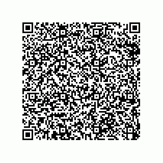 vCard 79053300318