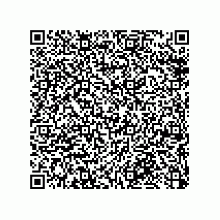 vCard 79053300320