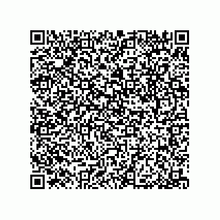 vCard 79053300321