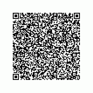 vCard 79053300329