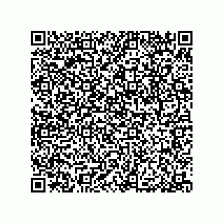 vCard 79053300331