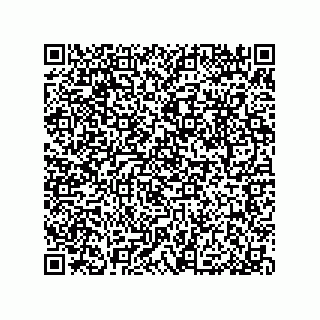 vCard 79053300342