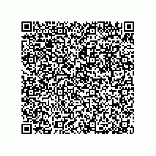 vCard 79053300358