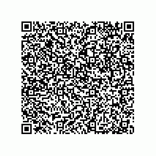 vCard 79053300374