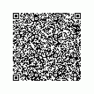 vCard 79053300375
