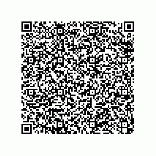 vCard 79053300377