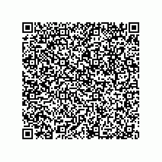 vCard 79053300378