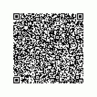 vCard 79053300379