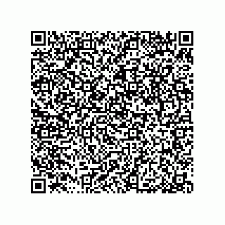 vCard 79053300380