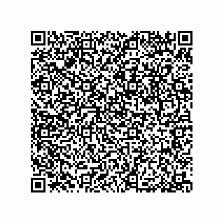 vCard 79053300381