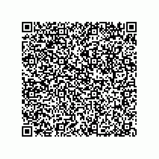 vCard 79053300382