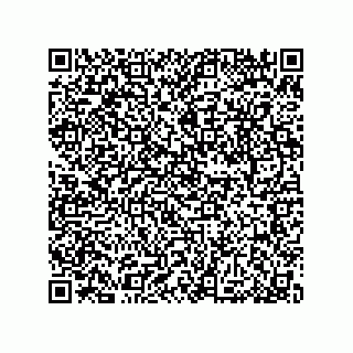vCard 79053300384