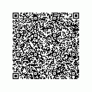 vCard 79053300385