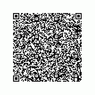 vCard 79053300386