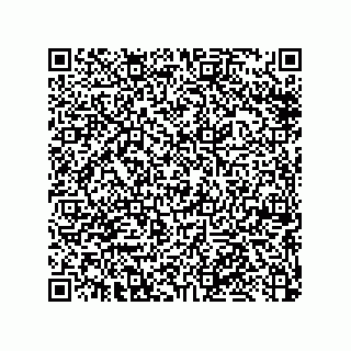 vCard 79053300387