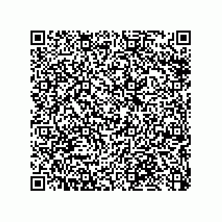 vCard 79053300388