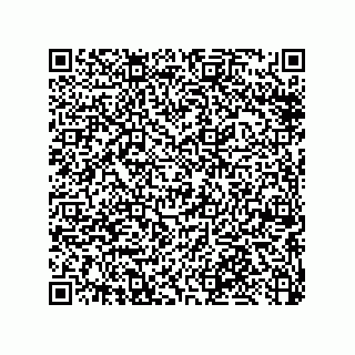 vCard 79053300389
