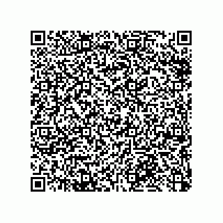 vCard 79053300390