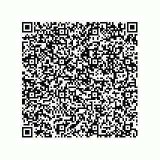 vCard 79053300392
