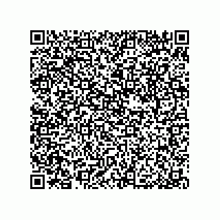 vCard 79053300393