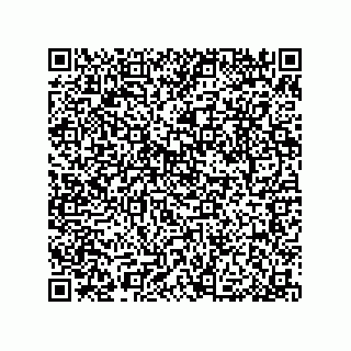 vCard 79053300399