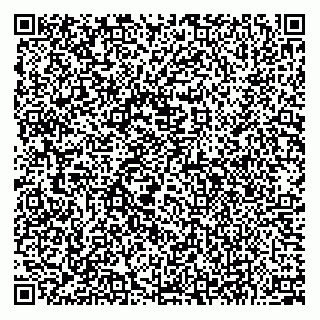 vCard 79053490323