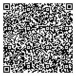 vCard 79053651335