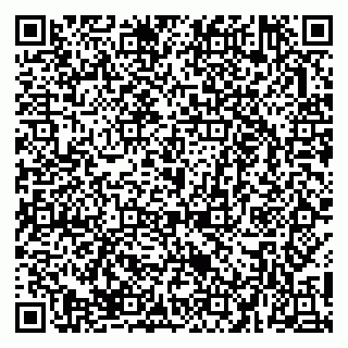 vCard 79053651413
