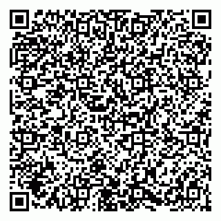 vCard 79054380293