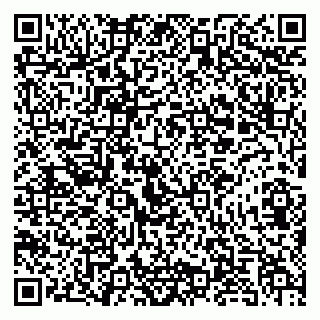 vCard 79054380337