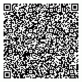 vCard 79054381203