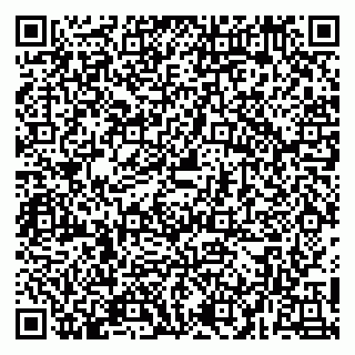 vCard 79054381219
