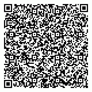vCard 79054381233