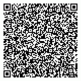 vCard 79054381234