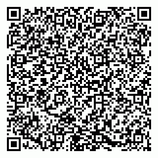 vCard 79054381248