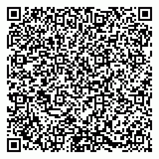 vCard 79054381249