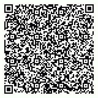 vCard 79054381272