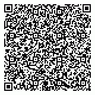 vCard 79054381295