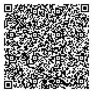 vCard 79054381303