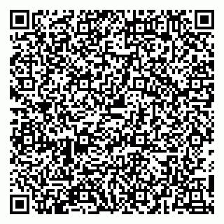 vCard 79054381305