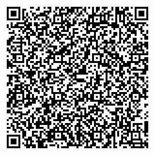 vCard 79054381333