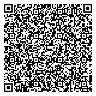 vCard 79054381335