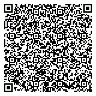 vCard 79054381337