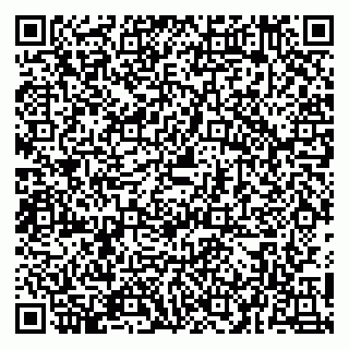 vCard 79054381341